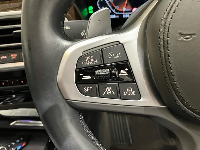 X3 xDrive 20d Mスポーツ セレクトパッケージ パノラマサンルーフ フロント・リヤシートヒーター ブラックレザーシート ステアリングヒーター ハーマンカードンスピーカー20インチアルミホイール リヤローラーブラインド全周囲カメラ(30枚目)