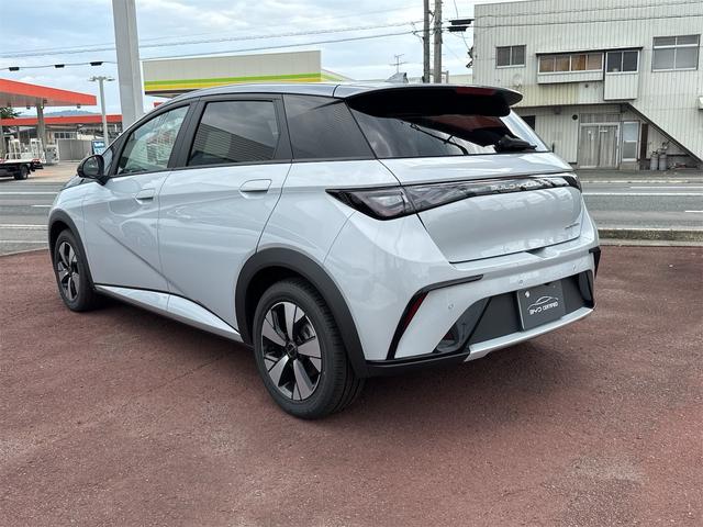 ドルフィン （9枚目）