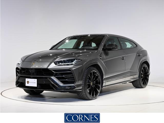 Ｕｐｐｅｒ　ｅｘｔｅｒｉｏｒ　ｃａｒｂｏｎ　ＰＫＧ ■■Ｕｒｕｓ■■