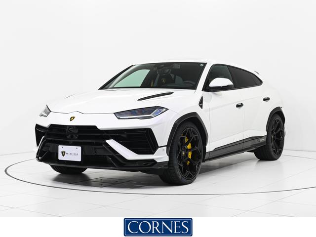 ܥ륮 륹 ڥեޥợǧż֡᡼ݾաɥ