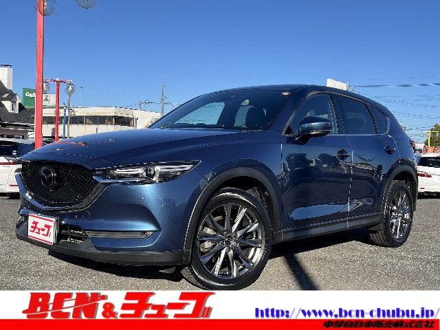 ޥĥ ãءݣ ԡ롼֥⡼ɡ쥮顼󥿡ܡʥ