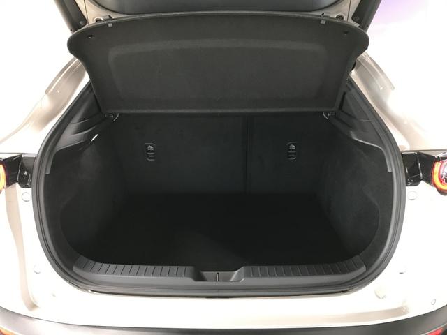 CX-30 XD プロアクティブ APPカープレイ アンドロイドオート BT USB ETC バックカメラ 前後ドラレコ ブラインドスポット ヘッドアップディスプレイ パワーバックドア LEDオートライト 衝突軽減 前後ソナー ACC(46枚目)