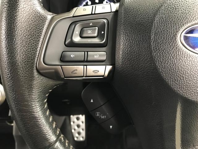 フォレスター S-リミテッド 純正ナビ フルセグTV BT DVD CD 純正17インチアルミ オートライト シートヒーター パワーシート バックカメラ ETC 衝突軽減ブレーキ アイサイトver2(追従クルコン プリクラ)(26枚目)