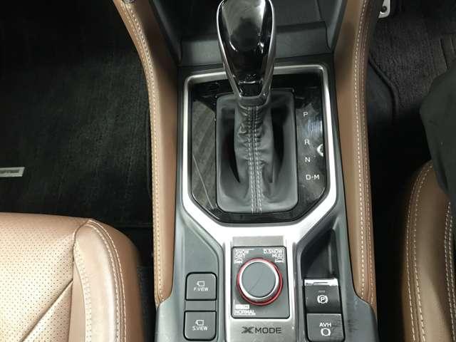 フォレスター アドバンス 4WD ナビ TV CD DVD BT USB AUX HDMI APPカープレイ パワーバックドア シートヒーター ステアリングヒーター 革シート デジタルインナーミラー バックカメラ(30枚目)