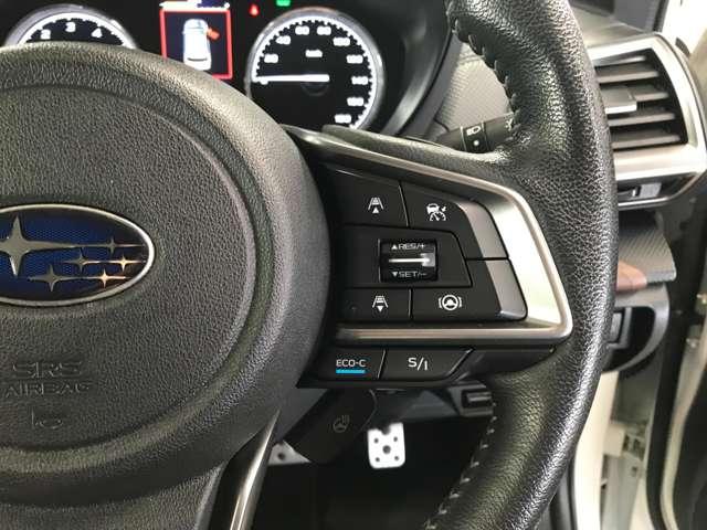 フォレスター アドバンス 4WD ナビ TV CD DVD BT USB AUX HDMI APPカープレイ パワーバックドア シートヒーター ステアリングヒーター 革シート デジタルインナーミラー バックカメラ(32枚目)