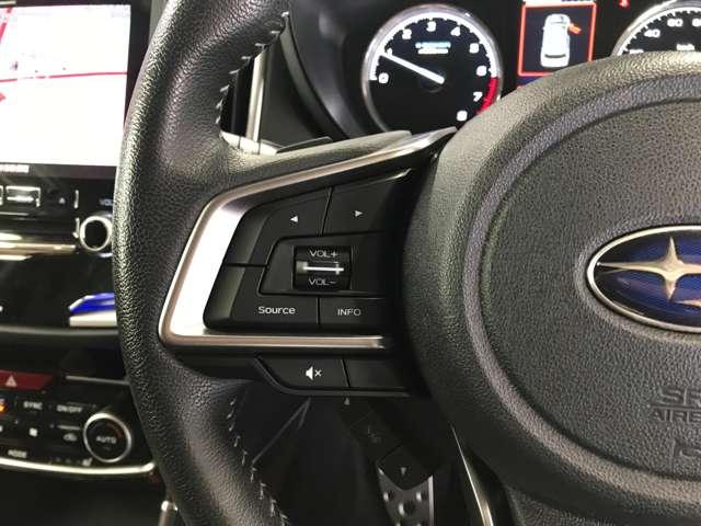 フォレスター アドバンス 4WD ナビ TV CD DVD BT USB AUX HDMI APPカープレイ パワーバックドア シートヒーター ステアリングヒーター 革シート デジタルインナーミラー バックカメラ(33枚目)