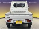 TOYOTA PIXIS TRUCK