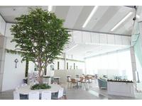 茨城トヨペット(株)石岡東大橋店