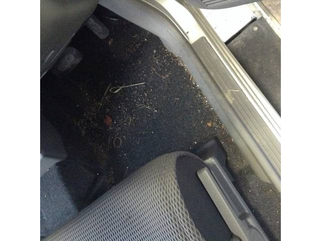 キューブの室内清掃