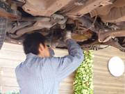 車検のコバック　岩槻店8