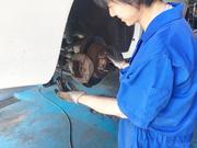 大和市　座間市　綾瀬市　横浜市瀬谷区　車検　修理　取り付け