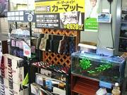 横浜ガレージ館　アクセント相模店7