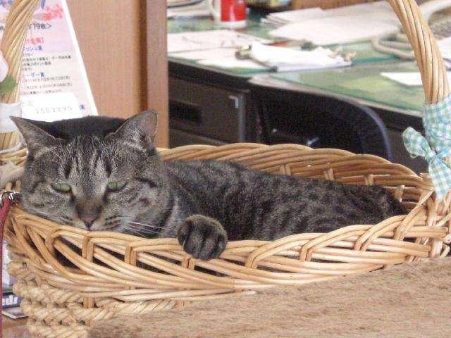 光進自動車工業株式会社(5枚目)