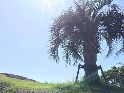 Ｉ❤ＭＩＹＡＺＡＫＩ