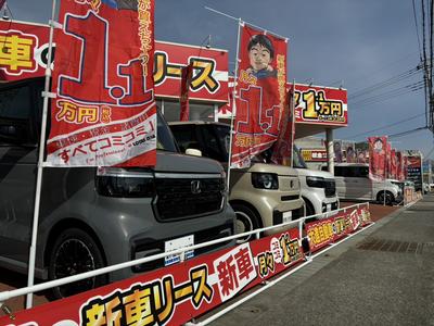 新車・中古車販売もお任せ下さい