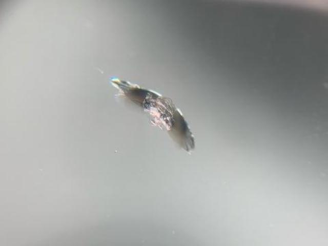 フロントガラスの飛び石傷。ウインドリペアで1か所15,000円、即日施工で直せます！