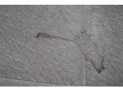 大切なお車を清潔に！カークリーニングもお任せ下さい！