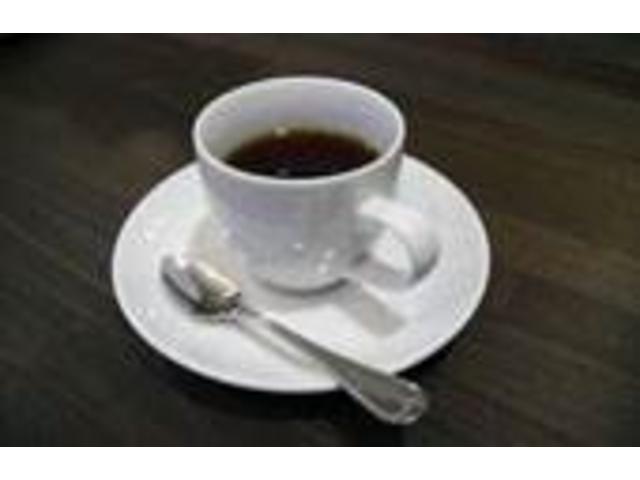 飲み物だけの提供！