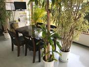 吉仲自動車販売4