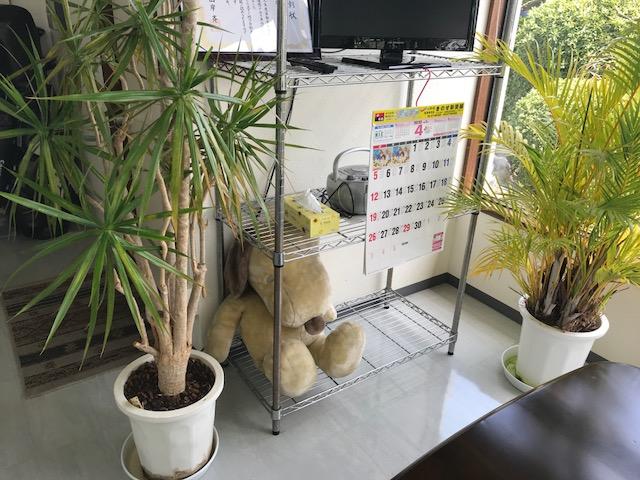 吉仲自動車販売2