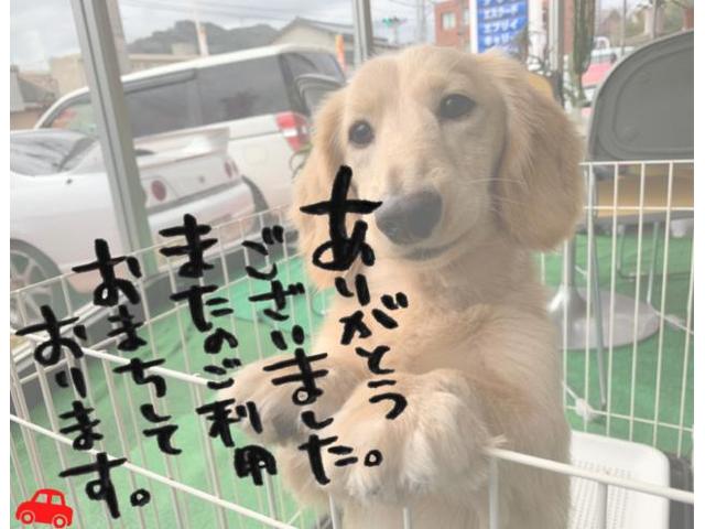 プリウス　ZVW30　右サイドステップカバー　修理　事故修理　唐津市　玄海町　伊万里市