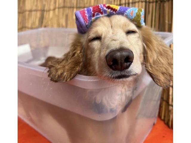 新着の作業実績