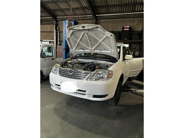 新着の作業実績