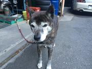 和光自動車工業3