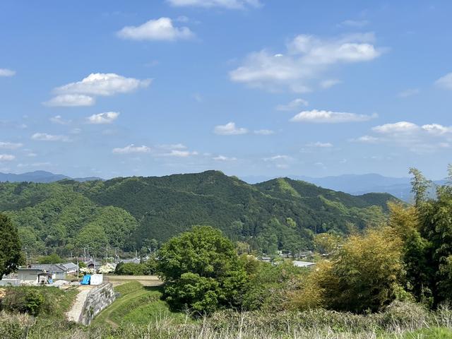 見晴らしのいい景色