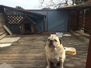 晃南モータース2