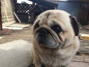 晃南モータース3