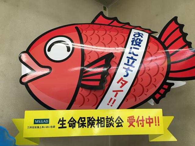 保険のことなら何でもお任せ下さい！相談だけでも大歓迎です！