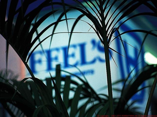 （株）ホンダツインカム　メインオフィス4