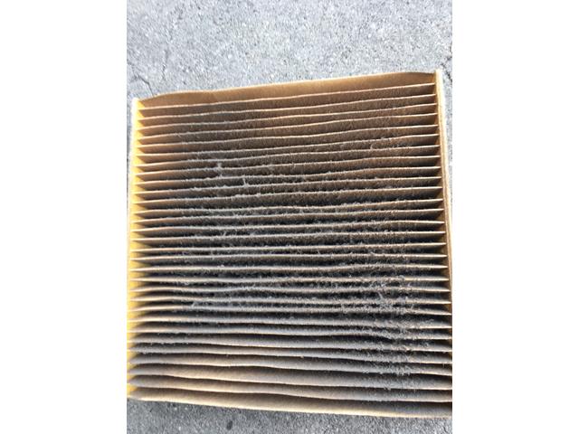 岡崎市　ダイハツ・ミライース　車検！