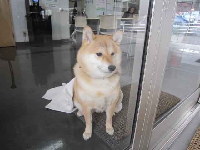 有限会社　宮崎自動車工業所8