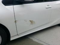 新着の作業実績