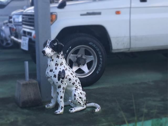 看板犬？安心して下さい。噛みつきません！！