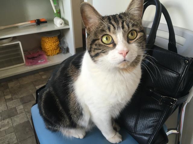 エムケーオート サービス紹介の6つ目