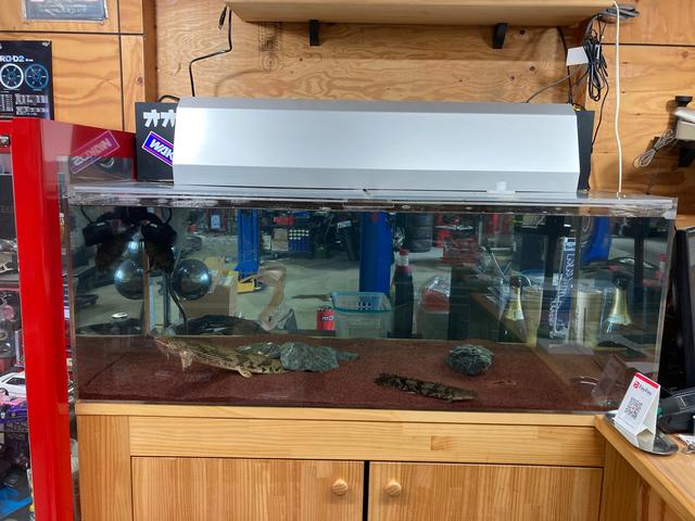 カーサポート オオイモータース サービス紹介の5つ目