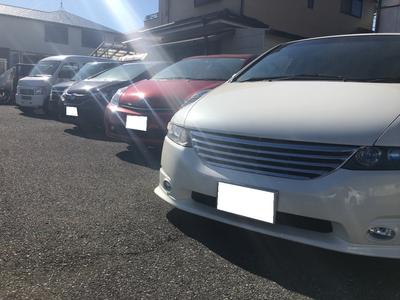 新車・中古車販売