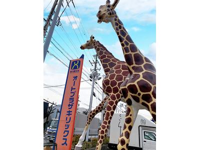 オートプラザキリックス 東海橋店の画像