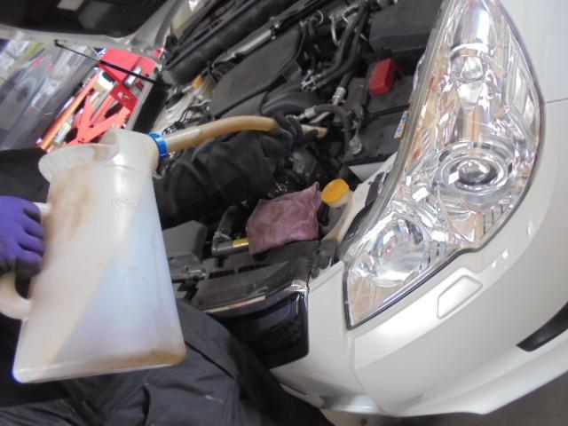 余裕のある忙しさ ! 只今、法定点検 進行中 !