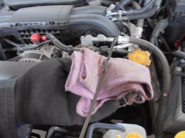 余裕のある忙しさ ! 只今、法定点検 進行中 !