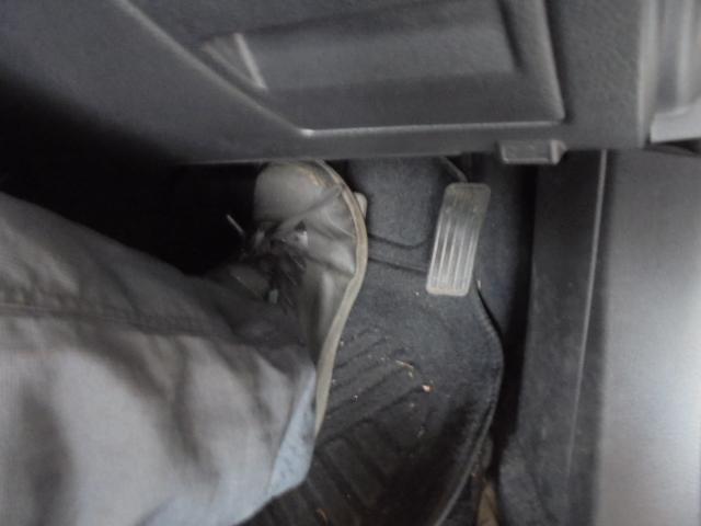 余裕のある忙しさ ! 只今、法定点検 進行中 !