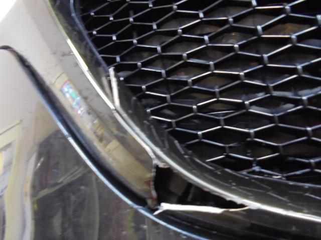 アクシデント　 クマと衝突 ！