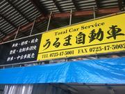 車販売からメンテナンス・板金塗装まで幅広くカーライフをサポート致します。