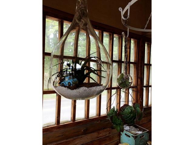 Ａｓｓｉｓｔ．Ｋ（アシスト・ケー）12