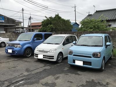 新車・中古車も販売