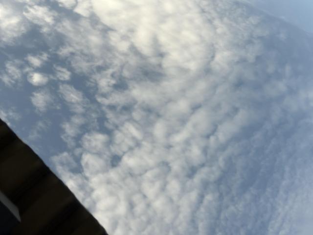 トヨタ　プリウスα　板金・外装補修