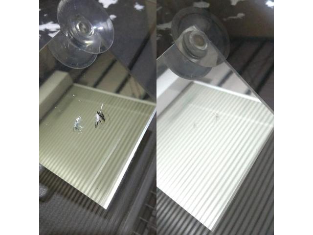 日産 エクストレイルのウィンドリペア